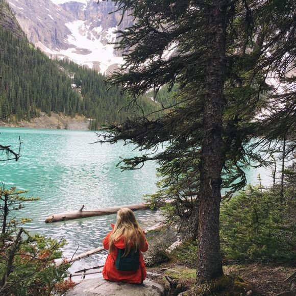 Meet your Posher, Nicole - Picture 1 of 1